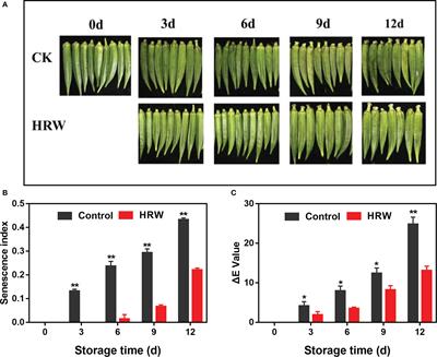 Hydrogen-rich water treatment increased several phytohormones and prolonged the shelf life in postharvest okras